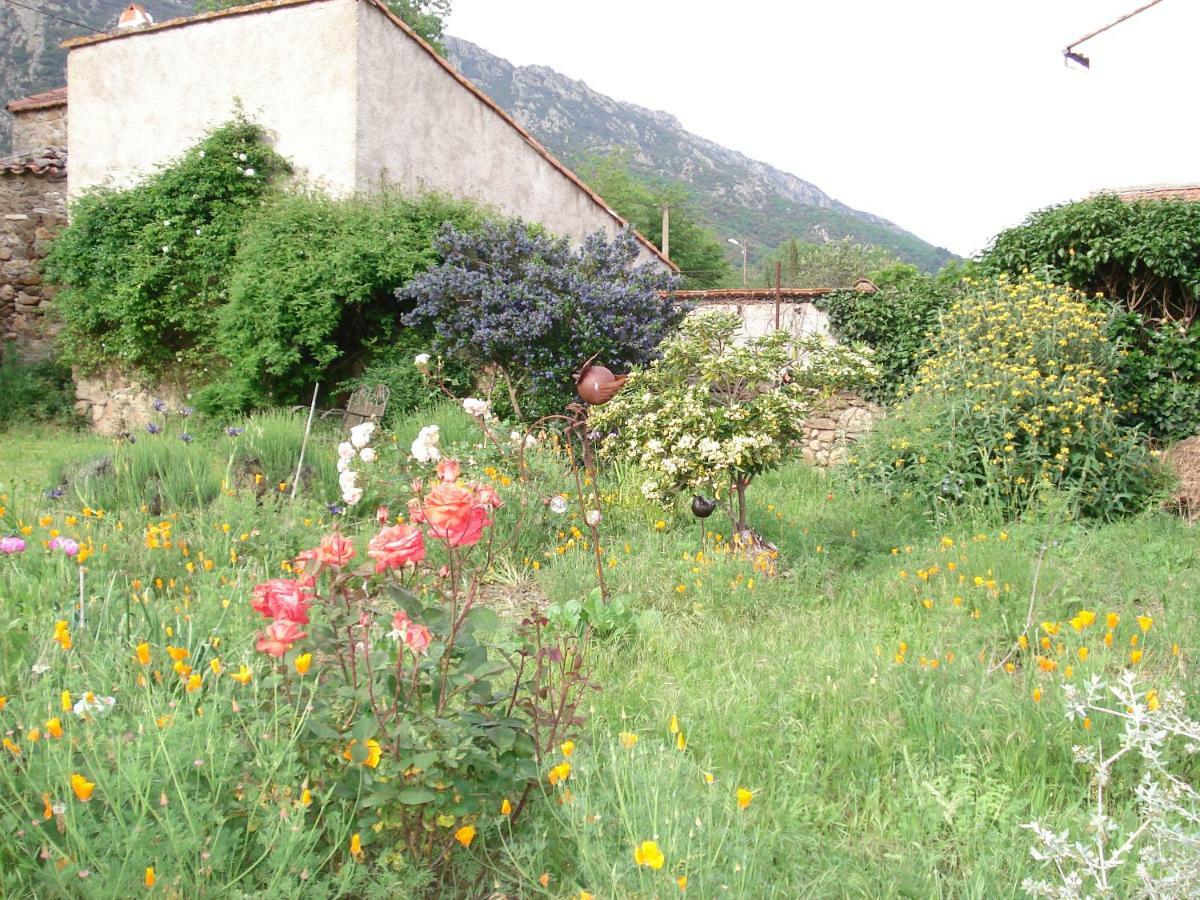 Au Pied Du Caroux Longairou Villa Mons  Exterior photo