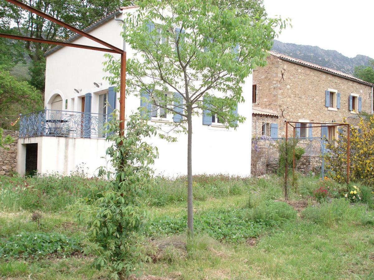 Au Pied Du Caroux Longairou Villa Mons  Exterior photo